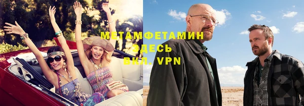 прущие грибы Няндома